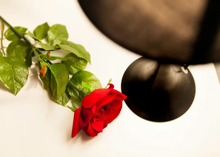 Апартаменты Colorful